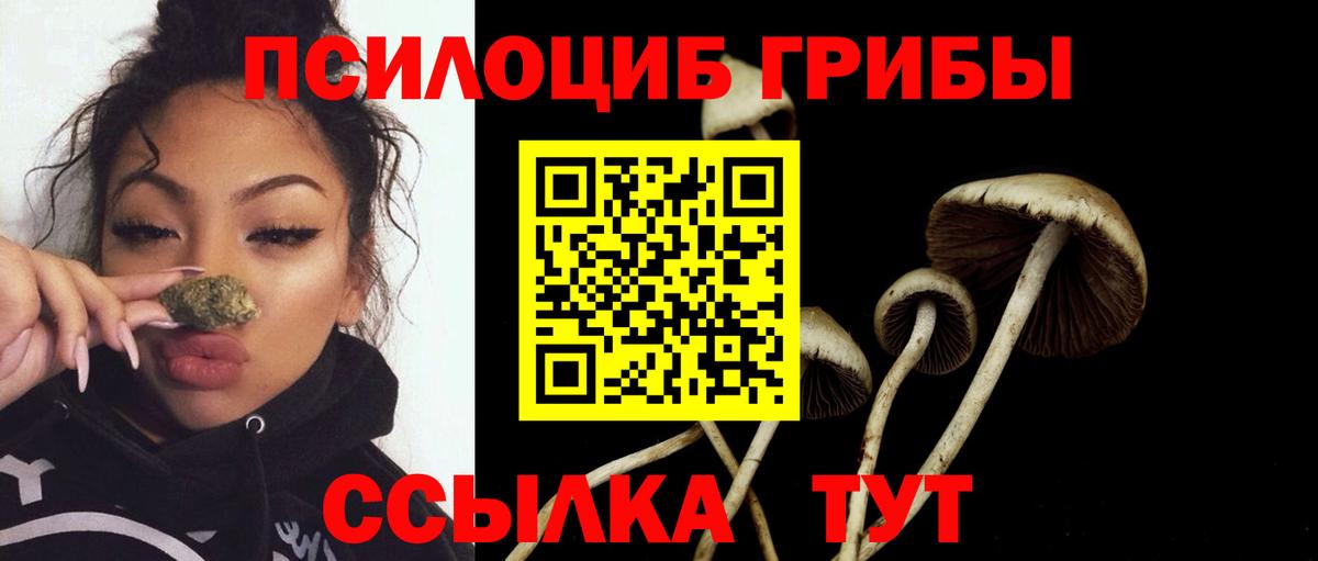 Новомосковск  Галлюциногенные грибы прущие грибы  Галлюциногенные грибы GOLDEN TEACHER  Вход с VPN 